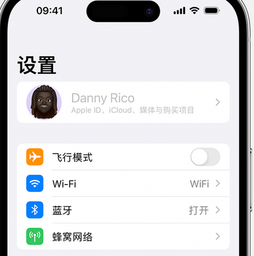 富文镇appleID维修服务iPhone设置中Apple ID显示为灰色无法使用