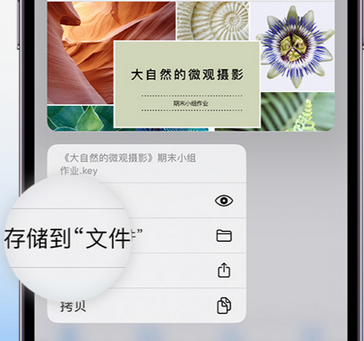 富文镇apple维修中心分享iPhone文件应用中存储和找到下载文件