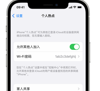 富文镇apple服务站点分享iPhone上个人热点丢失了怎么办 