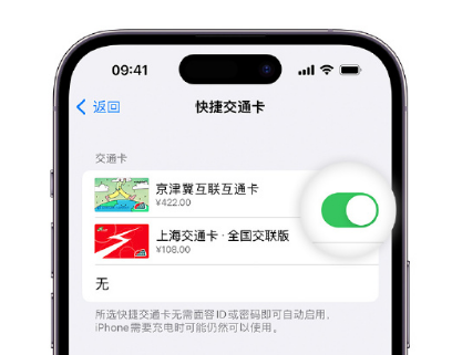 富文镇apple维修点分享iPhone上更换Apple Pay快捷交通卡手绘卡面 