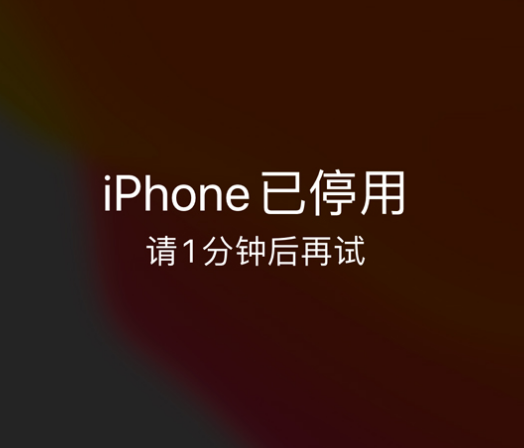 富文镇苹果手机维修分享:iPhone 显示“不可用”或“已停用”怎么办？还能保留数据吗？ 