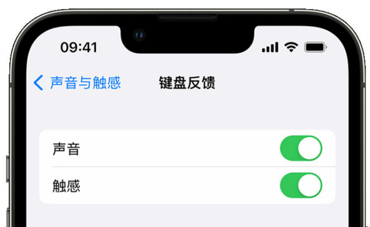 富文镇苹果手机维修分享iPhone 14触感键盘使用方法 