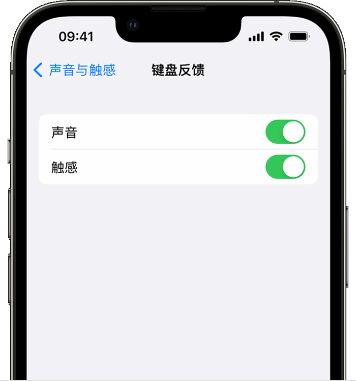 富文镇苹果14维修店分享如何在 iPhone 14 机型中使用触感键盘 