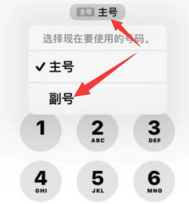 富文镇苹果14维修店分享iPhone 14 Pro Max使用副卡打电话的方法 