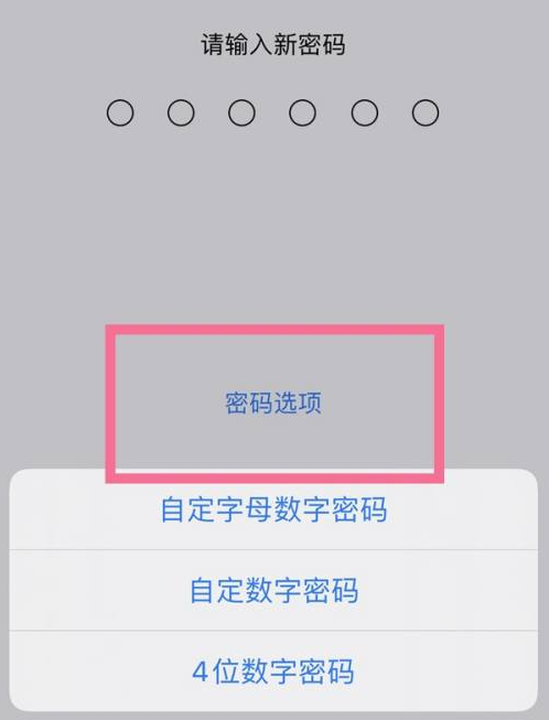 富文镇苹果14维修分享iPhone 14plus设置密码的方法 