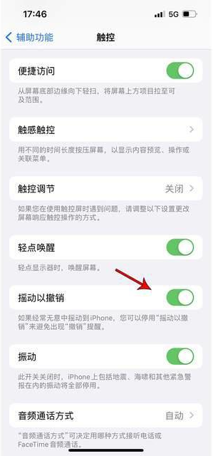 富文镇苹果手机维修分享iPhone手机如何设置摇一摇删除文字 